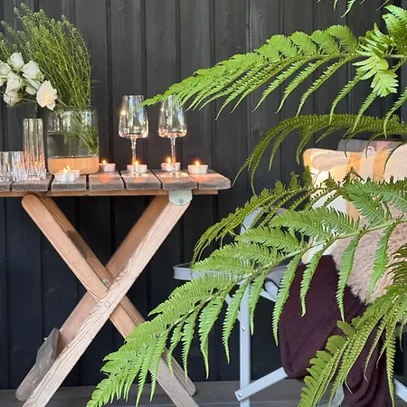 Chilliapartamenty - Maszroom 1