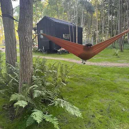 Holiday home Chilliapartamenty - Maszroom 1 Grzybowo (West Pomeranian)